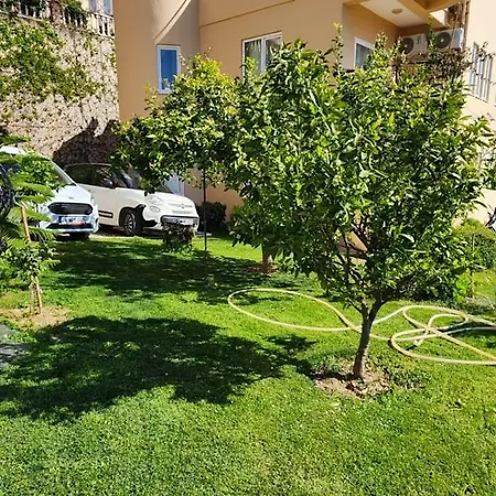 Goldctiy ألانيا